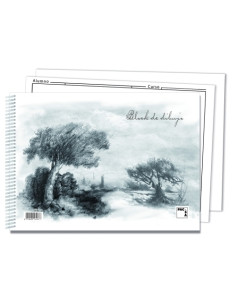 BLOC DE DIBUJO PACSA CON ESPIRAL LISO con RECUADRO 2 TALADROS F PROLONGADO 140g 20h