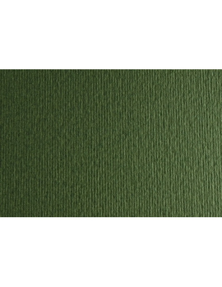 CARTULINA 50x70 cm FABRIANO 220g LISORUGOSO VERDONE PAQUETE de 20