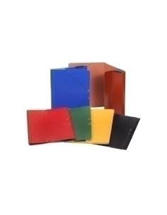 CARPETA de GOMAS y BOLSA CARCHIVO CARTON F CUERO
