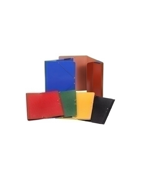 CARPETA de GOMAS y BOLSA CARCHIVO CARTON F CUERO