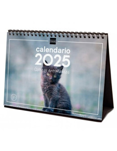 FINOCAM CALENDARIO DE SOBREMESA PARA ESCRIBIR S-210X150MM IMÁGENES GATITOS 2025